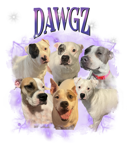 dawgz 6.png