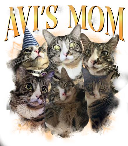 Avi’s Mom 3.png