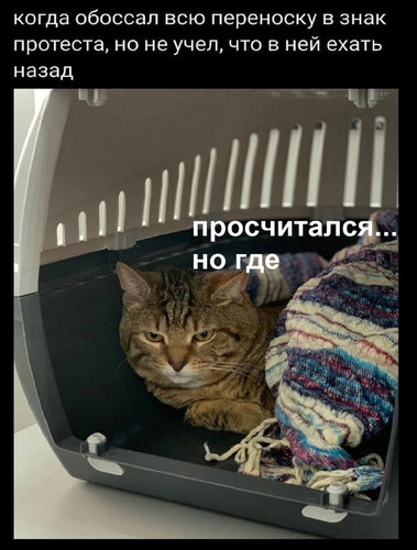 5XsGQOsfhRg.jpg