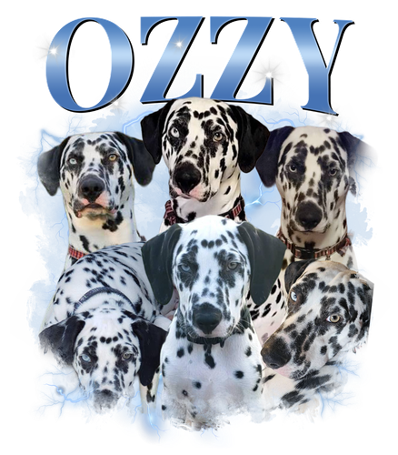 Ozzy 4.png