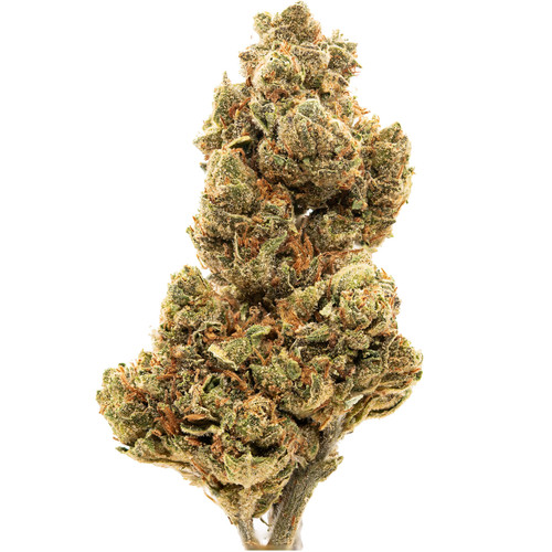 Horchata Milkshake Inspiration.jpg