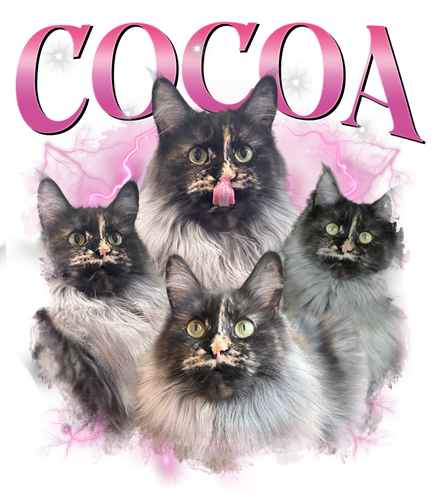 Cocoa 1.png