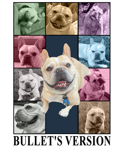 test bullet's version.png