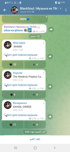 Screenshot ٢٠٢٣١٢١٢ ١٥٢٧٠٤ Telegram.jpg