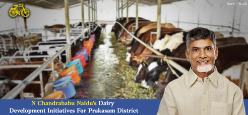 N Chandrababu Naidu’s Dairy Development Initiatives (1).jpg