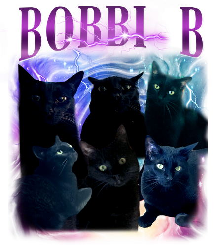 bobbib.png