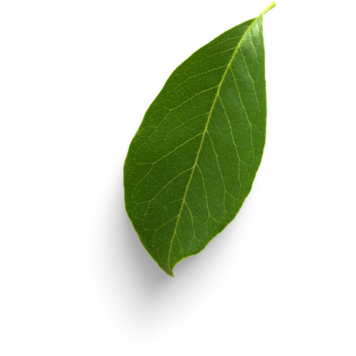 1702773001681000.png