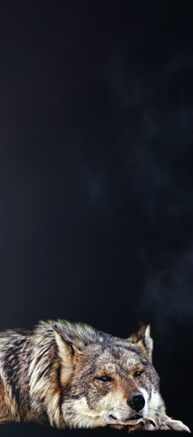 c sr...jpg