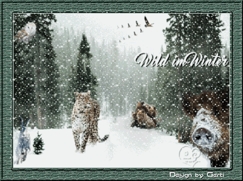 2023.12.19 Bild Nr. 19 Dezember.gif