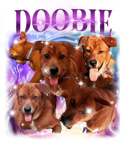 Doobie.png