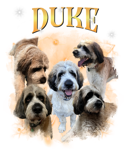 duke.png