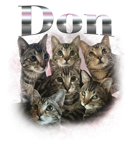 Don.png