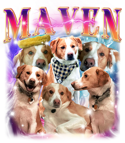MAVEN.png