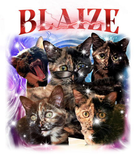 Blaize.png