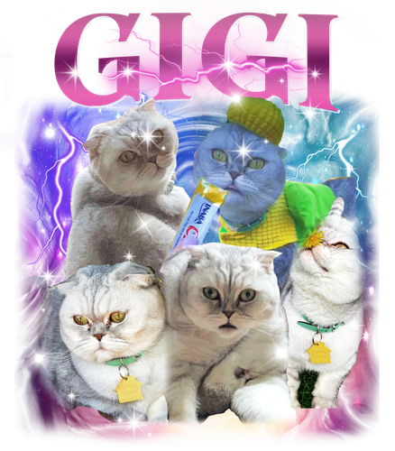 GiGi.png