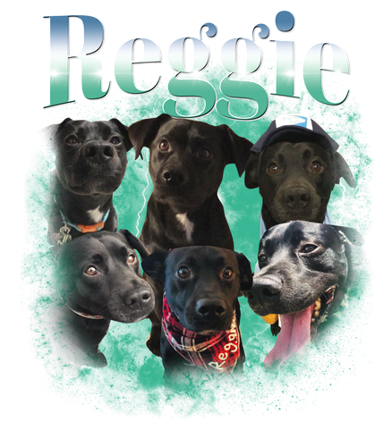 Reggie.png