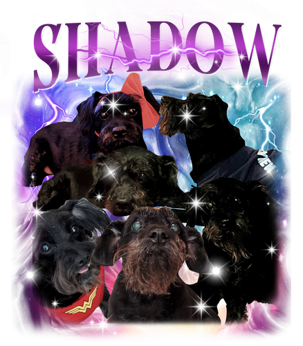 SHADOW.png