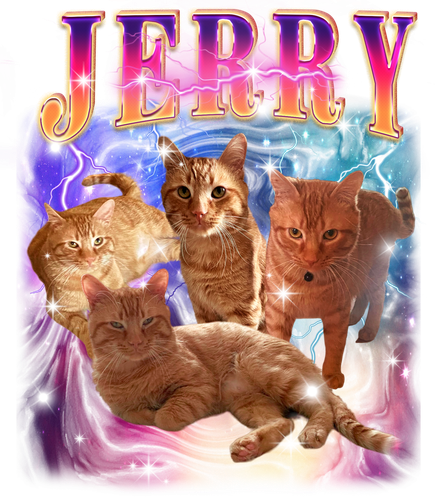 3146307584 Jerry Purple and Orange F1.png