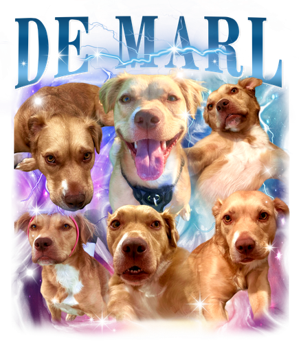 3137158533 DE MARL 6 blue + f1.png