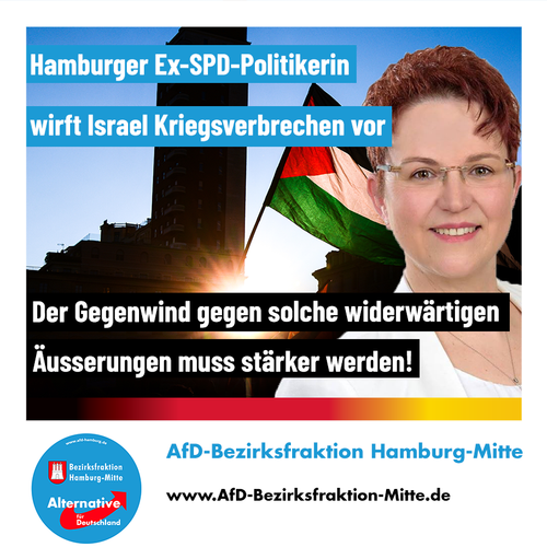AfD Bezirksfraktion Hamburg Mitte Wiederhergestellt.png