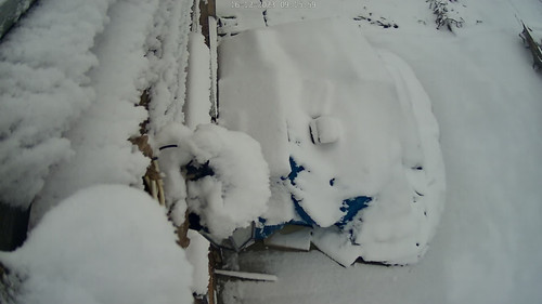 IMG 5352.jpg