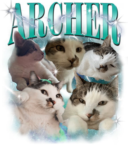 3139424405.png