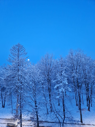 IMG 20231128 WA0002.jpg