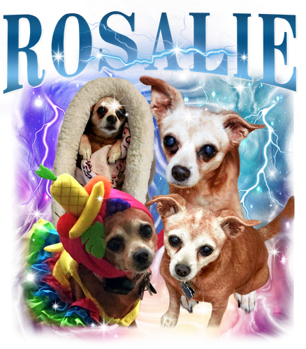 3147441480 Rosalie blue f1.png