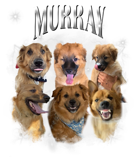 murray.png