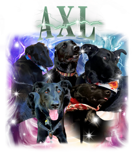 3147548118 AXL 8 f1.png