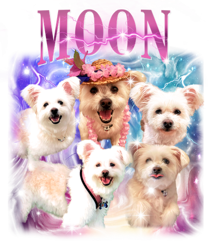 3138779727 MOON pink f1.png