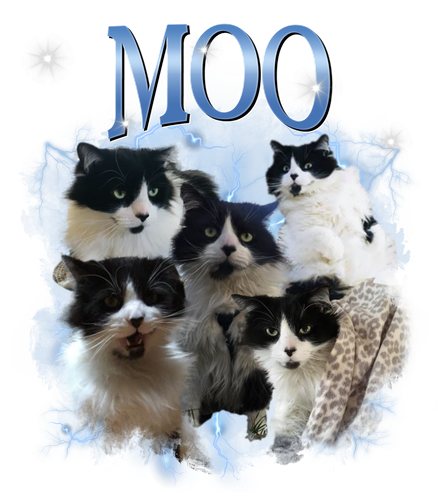 moo.png