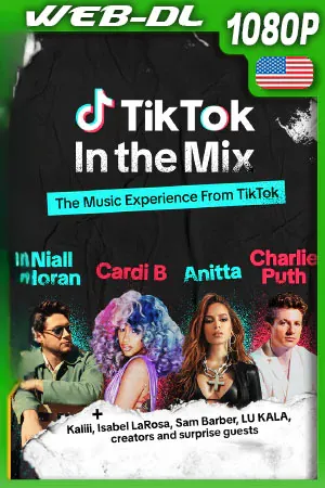 TikTok: In the Mix (2023)[WEB-DL /1080p][Dual][1fichier]