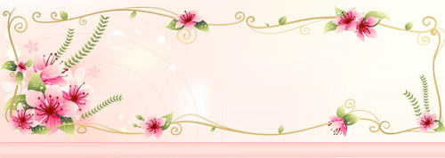 header.jpg