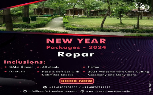 Kikar Lodge | New Year Party Packages in Ropar.jpg