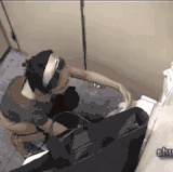 电报@beautybodyhunter.gif
