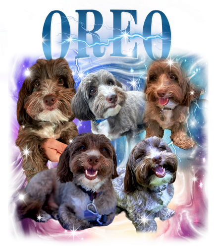 3143215450 OREO 6 BLUE PURPLE F1.png