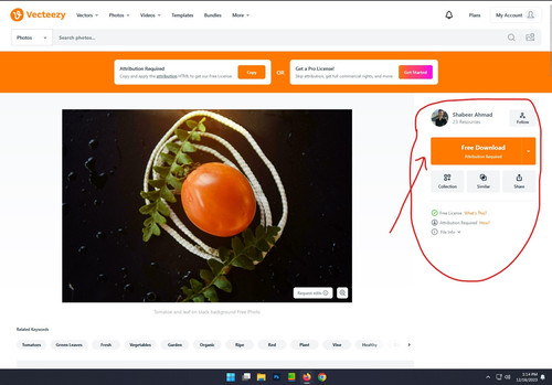 download button.jpg