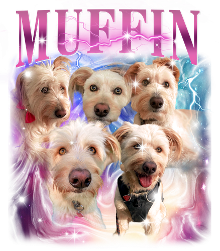 3147527478 Muffin 1 f1.png