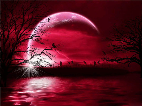 HD wallpaper night fantasy red fantasy moon night.jpg