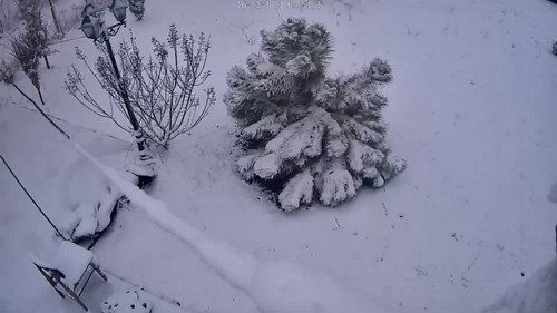IMG 5333.jpg