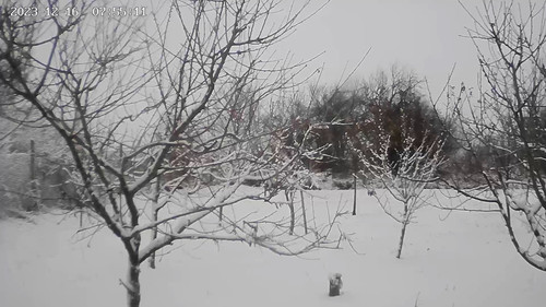 IMG 5334.jpg