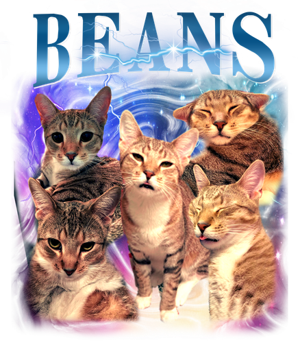 beans.png