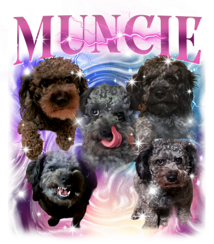 Muncie 1.png