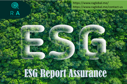 ESG REPORT ASSURANCE.png