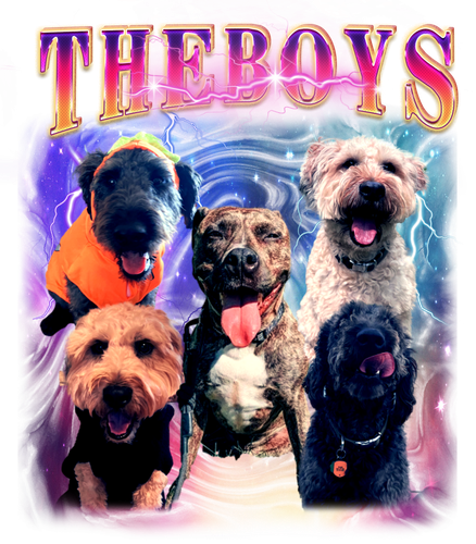 theboys.png