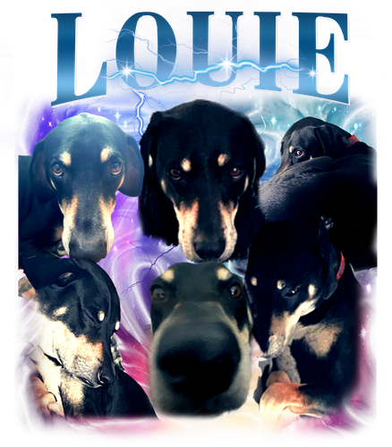 louie.png