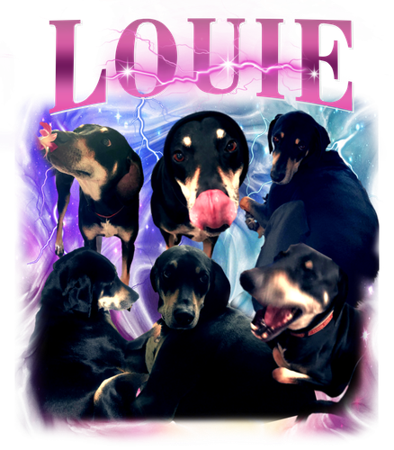louie pink.png