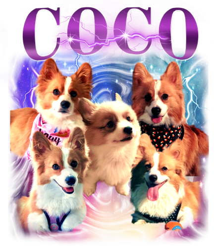 coco.png