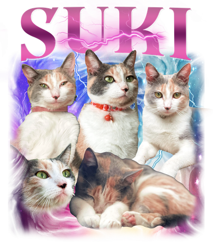 Suki.png